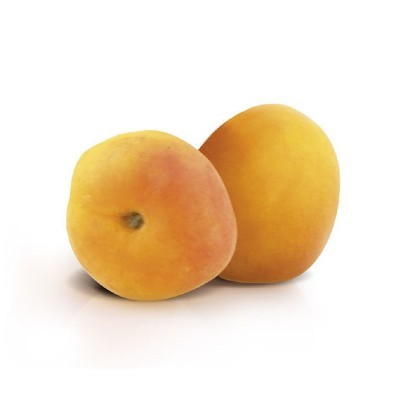 FRUCTAÉ ALBICOCCHE