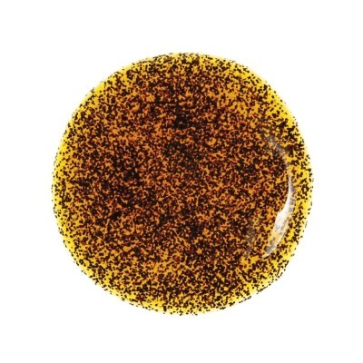 VANIGLIA BOURBON 