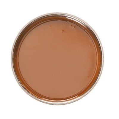 PRALINATO LISCIO NOCCIOLA 60/40 