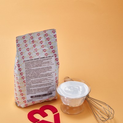 BASE CAMELIA DELAT 