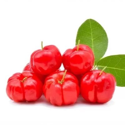 ΑΣΕΡΟΛΑ - ACEROLA PUREE 100%