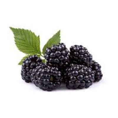 MOYPO – BLACKBERRY