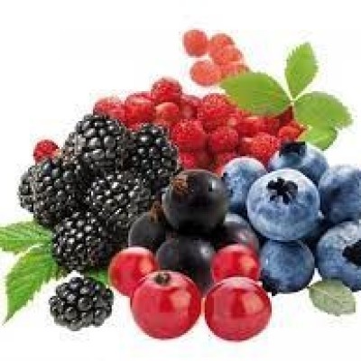 ΦΡΟΥΤA  ΤΟΥ ΔΑΣΟΥΣ  - FOREST FRUITS PUREE 90% 
