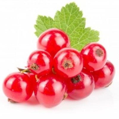 ΦΡΑΓΚΟΣΤΑΦΥΛΛΟ – RED CURRANT PUREE 90%