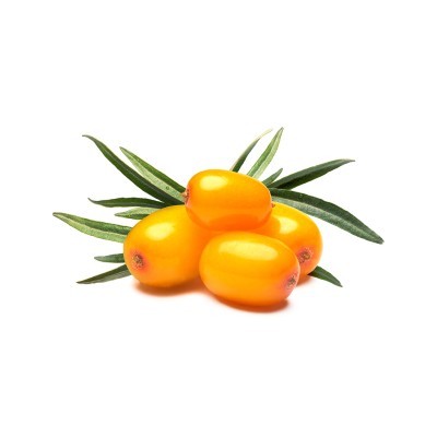 ΙΠΟΦΑΕΣ – SEA BUCKTHORN PUREE 90%