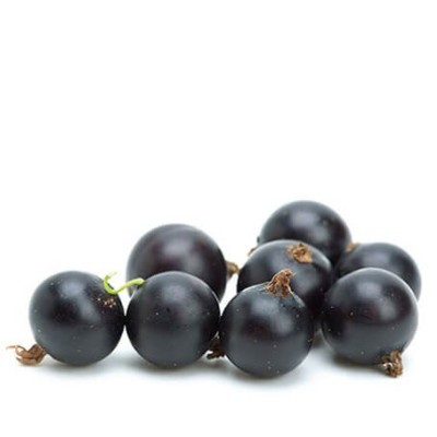 ΚΑΣΣΙΣ - BLACKCURRANT PUREE 90%