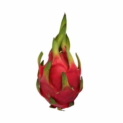 ΠΙΤΑXAΓΙΑ – DRAGON FRUIT PUREE 90%