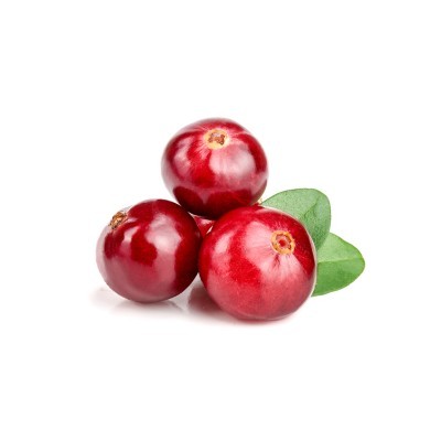 ΚΡΑΝΜΠΕΡΙ – CRANBERRY PUREE 90%
