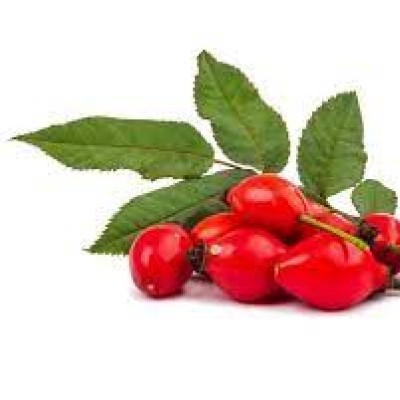 ΤΡΙΑΝΤΑΦΥΛΛΟ (ΚΑΡΠΟΣ) – ROSEHIP PUREE 90%