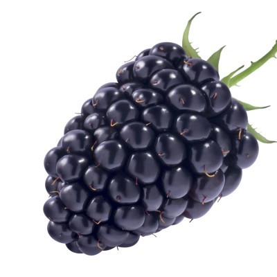 ΒΑΤΟΜΟΥΡΟ (ΣΜΕΟΥΡΟ) - RASPBERRY PUREE 90%